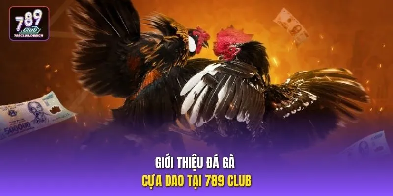 Giới thiệu đá gà cựa dao tại 789 club