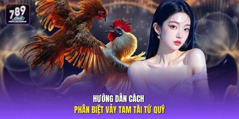 Hướng dẫn cách phân biệt Vảy Tam Tài Tứ Quý