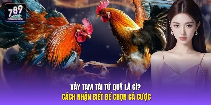 Vảy Tam Tài Tứ Quý